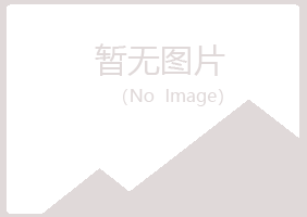 子长县惜雪能源有限公司